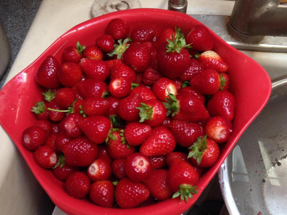 Hotel Nettles Farm Lummi Island Zewnętrze zdjęcie